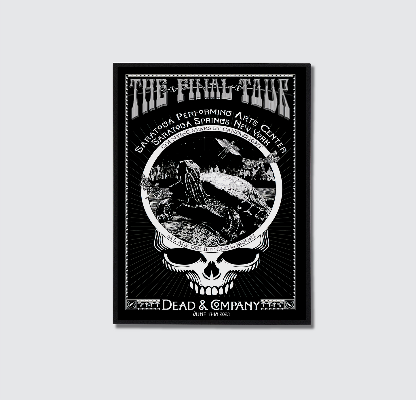 Dead & Company Poster - DC41