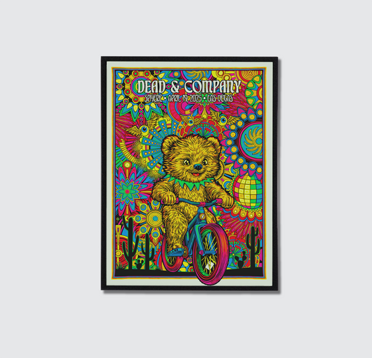 Dead & Company Poster - DC13