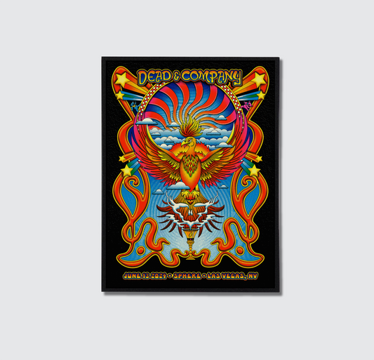 Dead & Company Poster - DC16