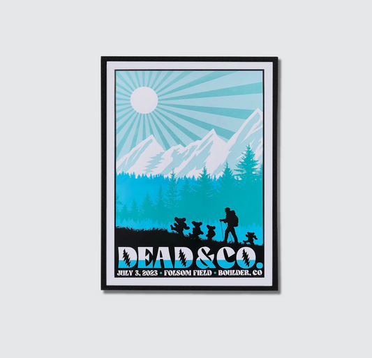 Dead & Company Poster - DC50